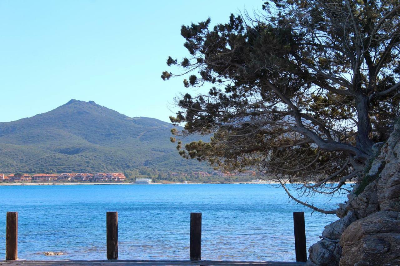 Casa Vacanze Il Cisto - Golfo Di Marinella Villa Porto Rotondo Ngoại thất bức ảnh