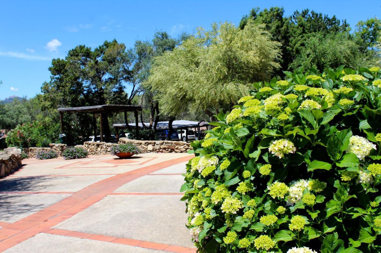 Casa Vacanze Il Cisto - Golfo Di Marinella Villa Porto Rotondo Ngoại thất bức ảnh